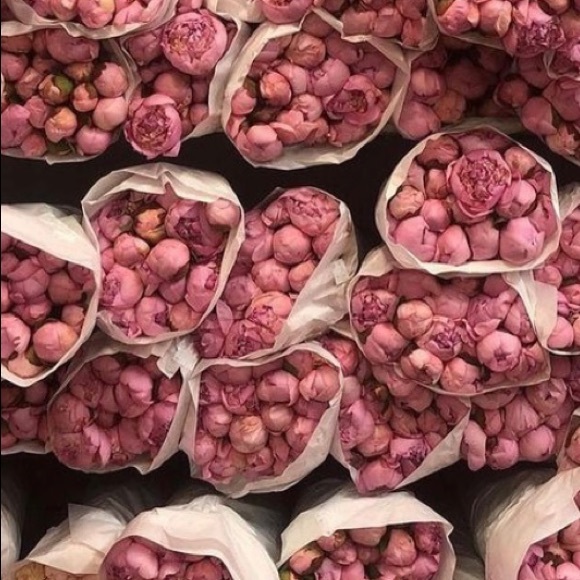 Meet your Posher, Jane - Picture 1 of 1